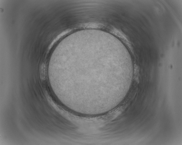 X0000080110012200701051341