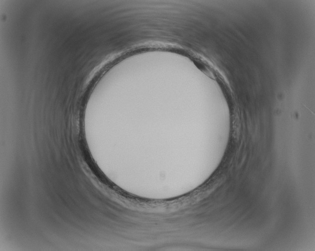 X0000080110015200701051341