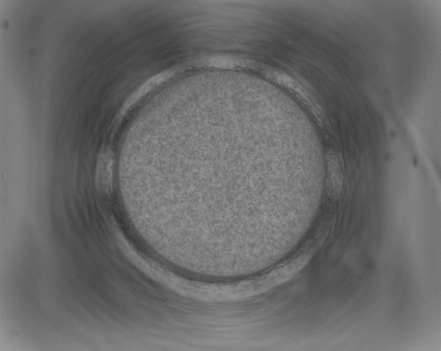 X0000080110016200701051341