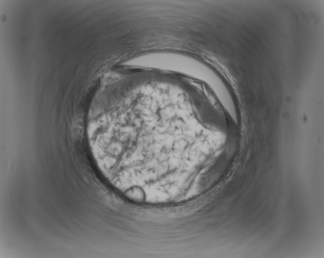 X0000080110017200701051341