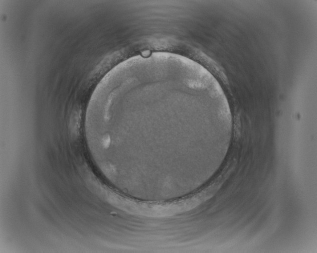 X0000080110018200701051341