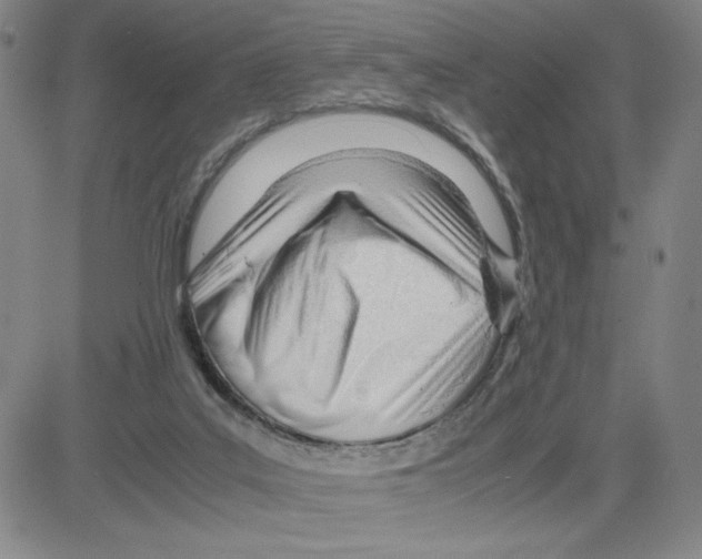 X0000080110019200701051341