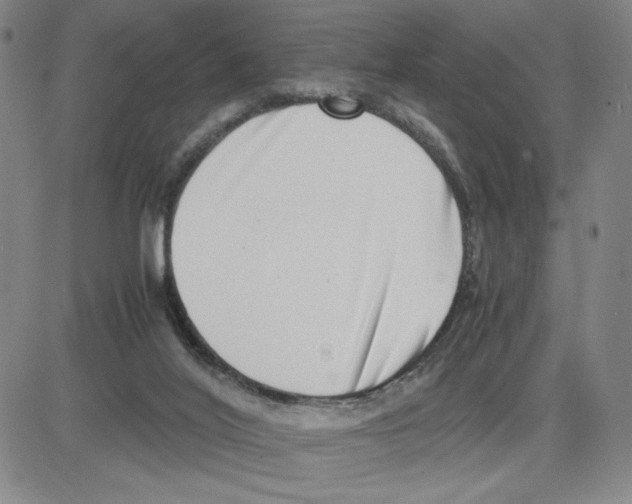 X0000080110020200701051341