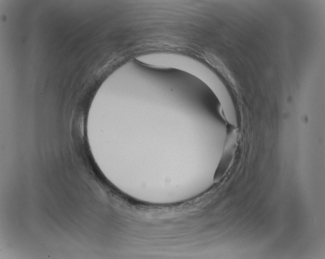 X0000080110021200701051341