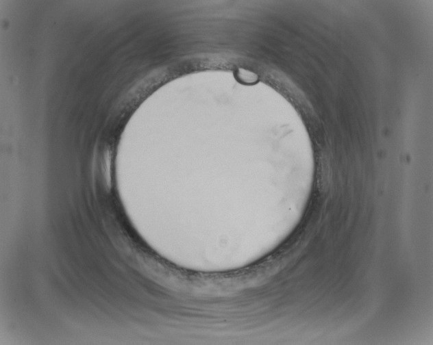 X0000080110022200701051341