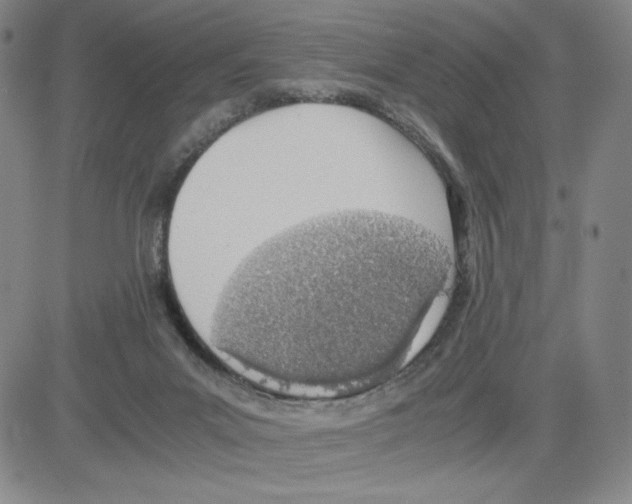 X0000080110023200701051341