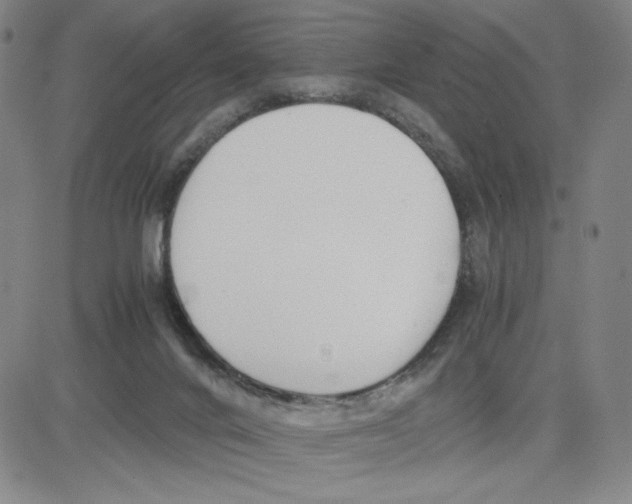 X0000080110024200701051341