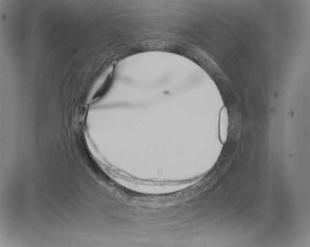 X0000080110025200701051341