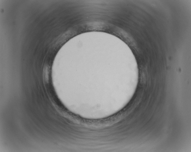 X0000080110026200701051341