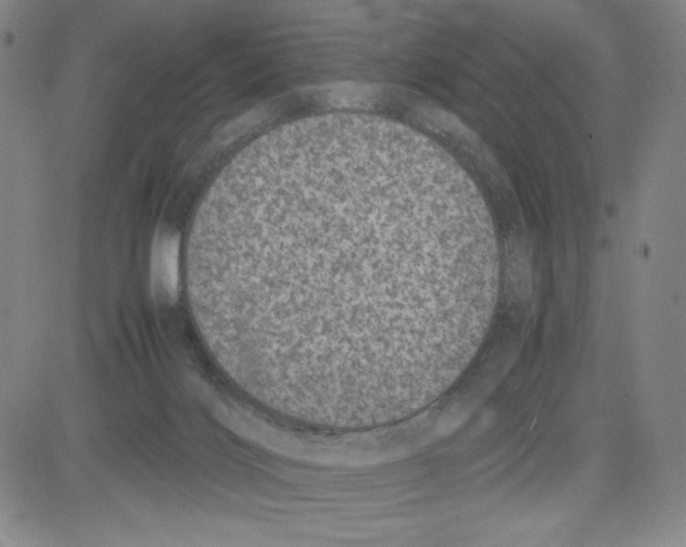 X0000080110028200701051341