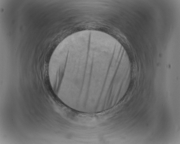 X0000080110029200701051341