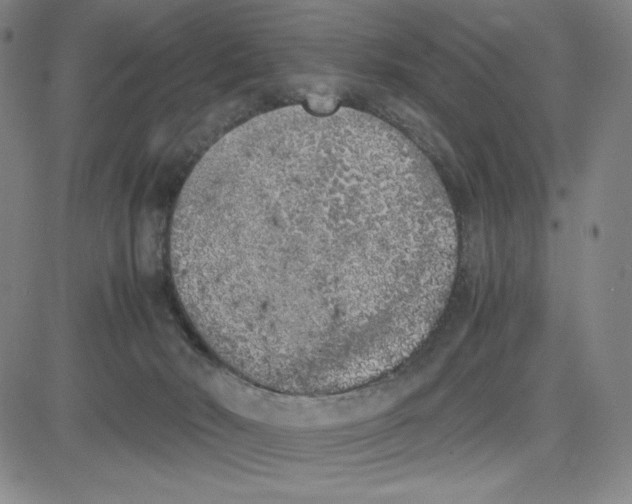 X0000080110030200701051341