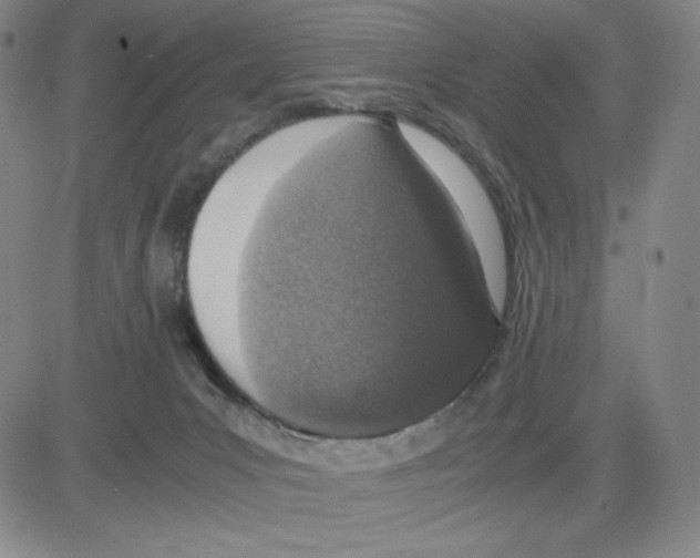 X0000080110031200701051340