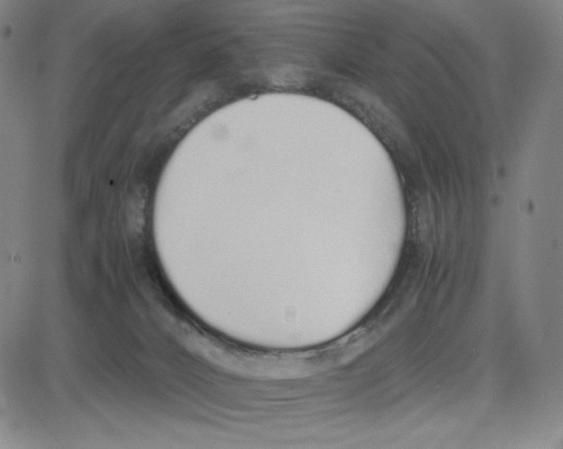 X0000080110032200701051340