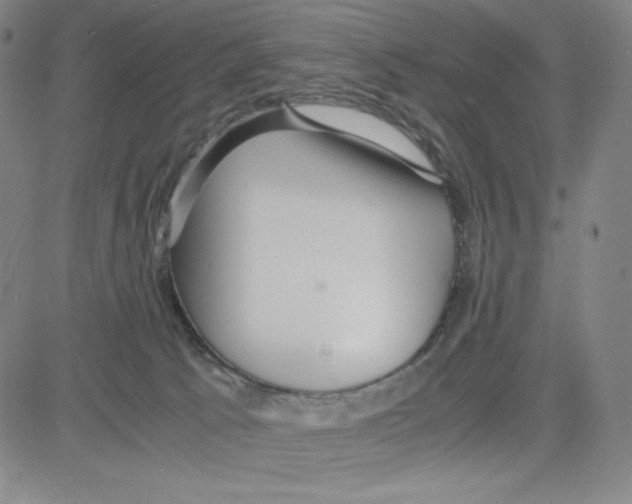 X0000080110033200701051340