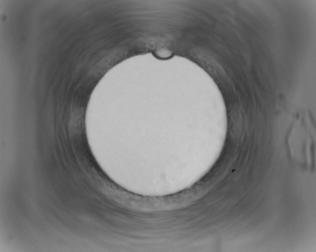 X0000080110034200701051340