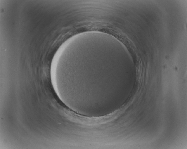 X0000080110035200701051340