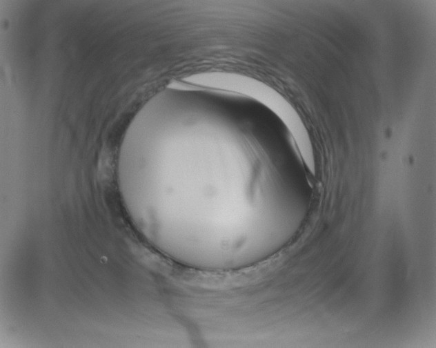 X0000080110037200701051340