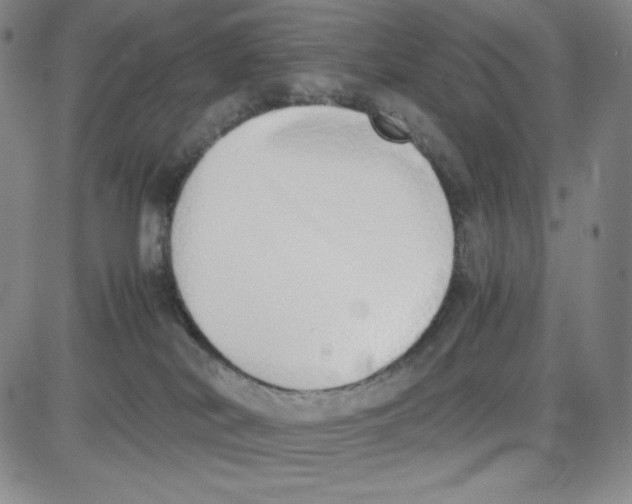 X0000080110038200701051340