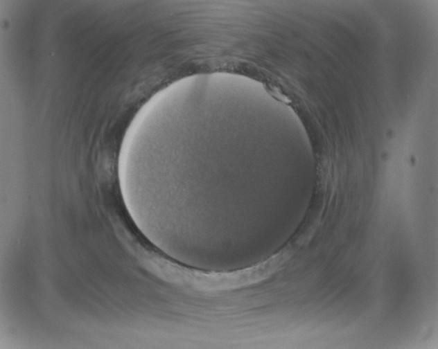 X0000080110039200701051340