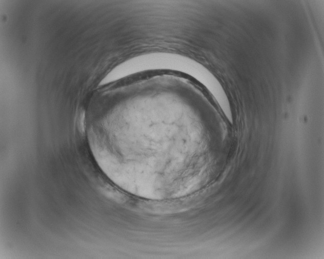 X0000080110041200701051340