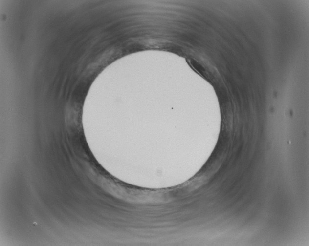 X0000080110044200701051340