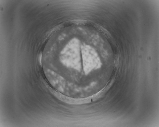 X0000080110047200701051340