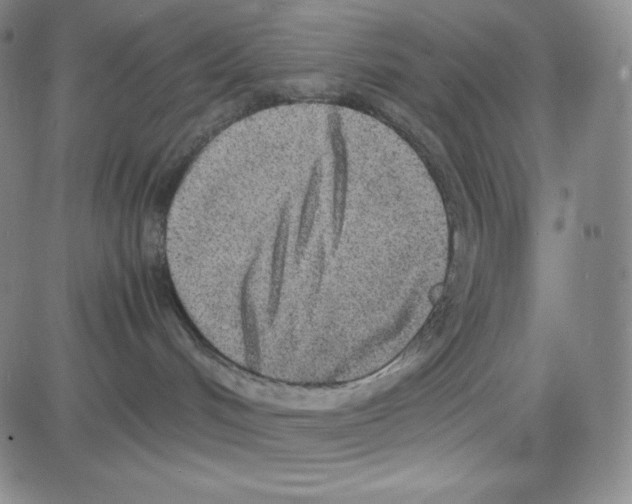 X0000080110048200701051340