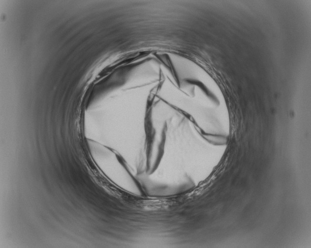 X0000080110050200701051339