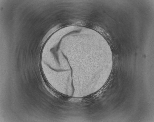 X0000080110051200701051339