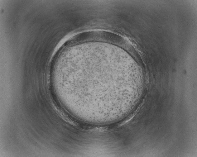 X0000080110056200701051340