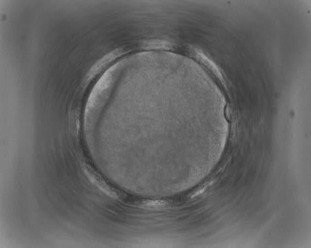 X0000080110059200701051340