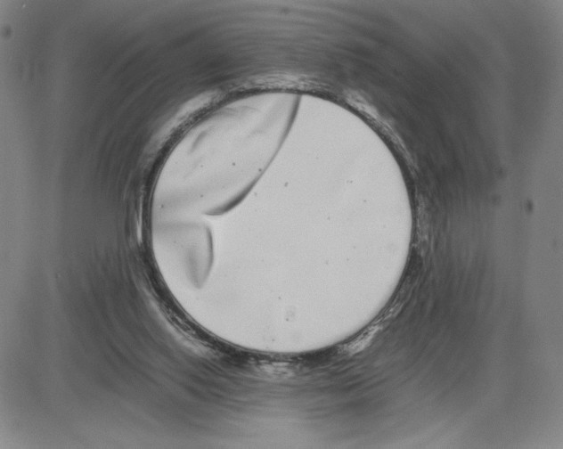 X0000080110062200701051340