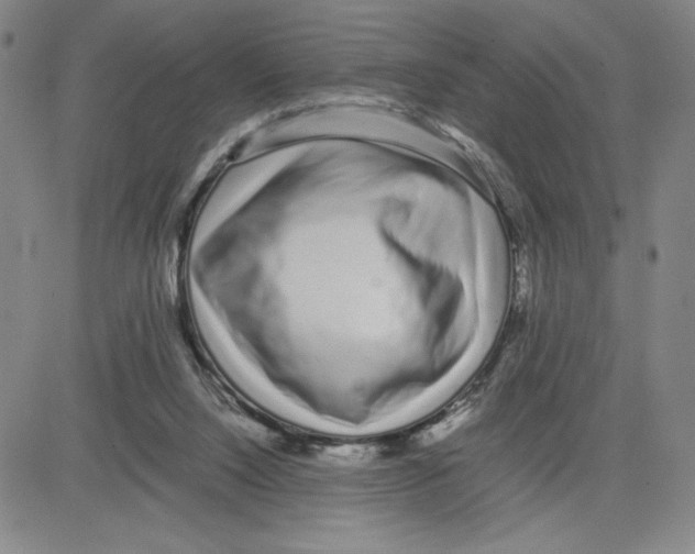 X0000080110064200701051340