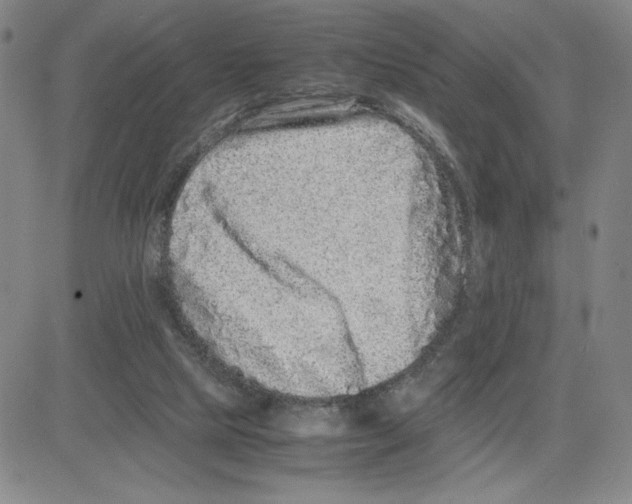 X0000080110065200701051340