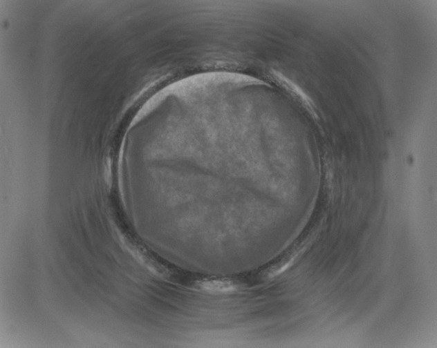 X0000080110067200701051340