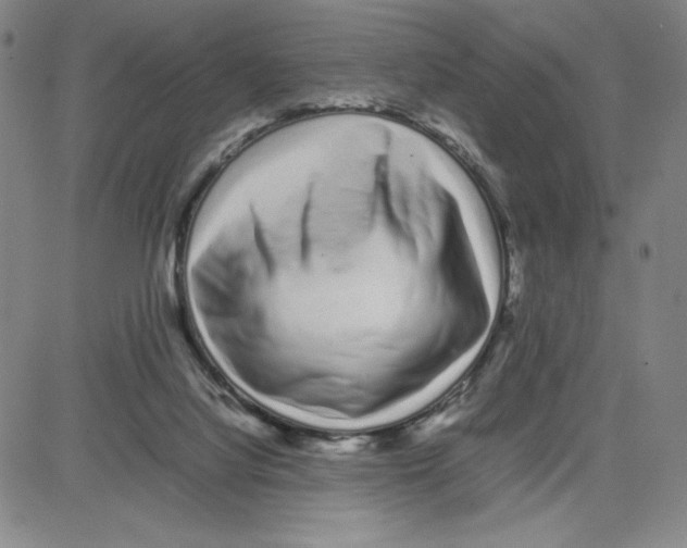 X0000080110068200701051340