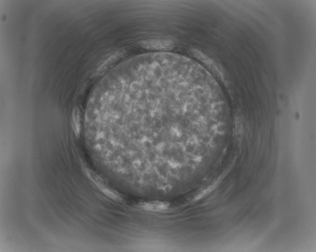 X0000080110069200701051340