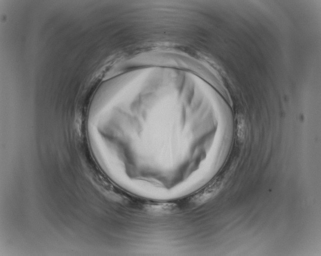 X0000080110072200701051340