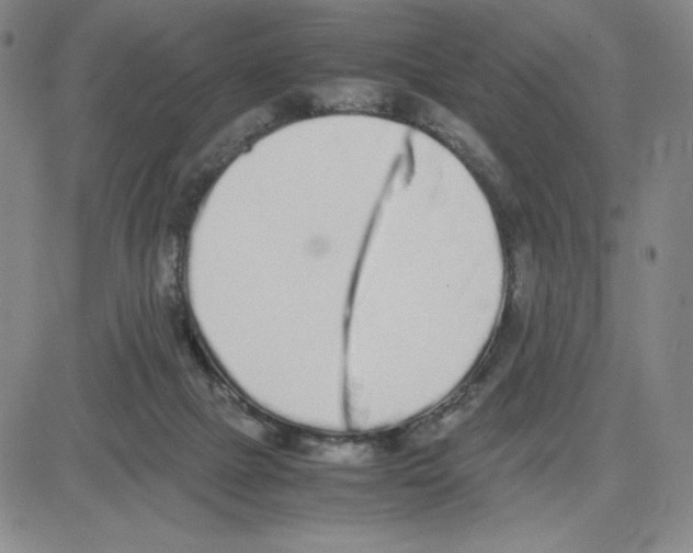 X0000080110073200701051340