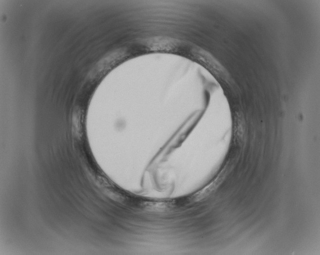 X0000080110074200701051340