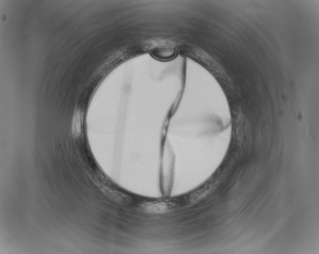 X0000080110075200701051340