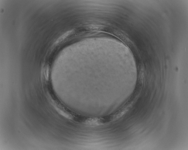 X0000080110076200701051340