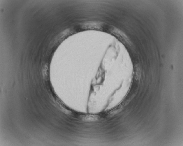 X0000080110077200701051340