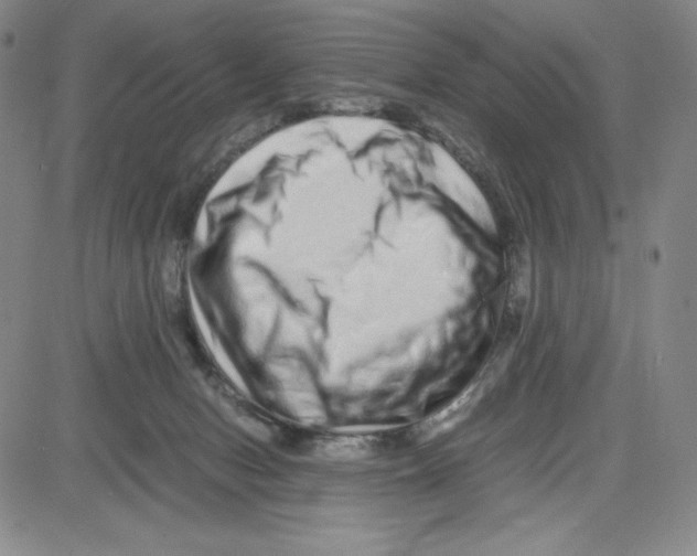 X0000080110078200701051340