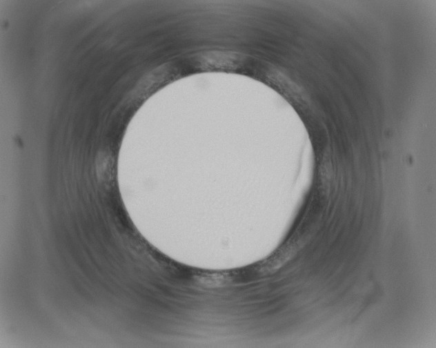 X0000080110079200701051340