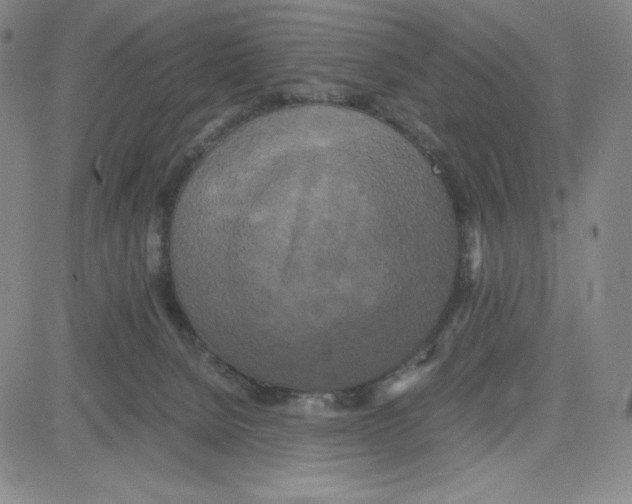 X0000080110080200701051340