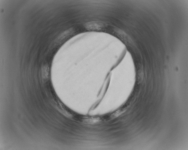 X0000080110081200701051340