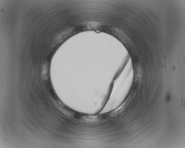 X0000080110082200701051340