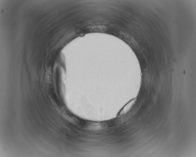 X0000080110083200701051340